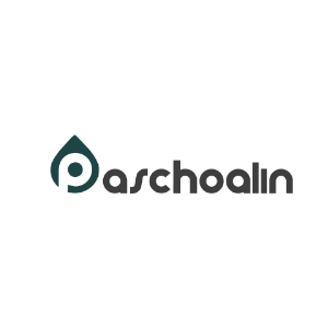 Paschoalin - Top Energy Consulting Services in LATAM Paschoalin