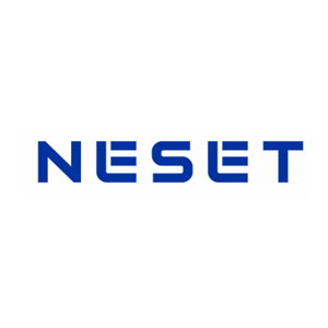 Neset Consulting Services