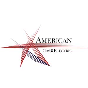 American Gas and  Electric Group