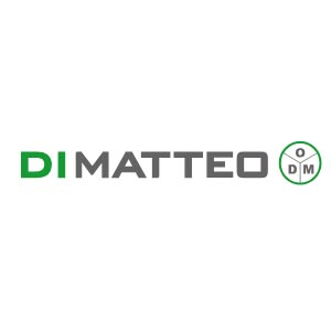 DI MATTEO Group