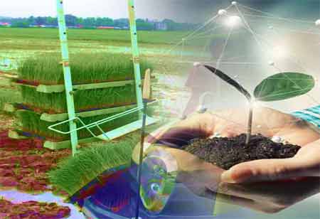 Key Pillars for Success in EPC Project Execution
