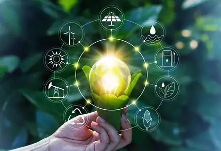 All You Need to Know About Biofuel