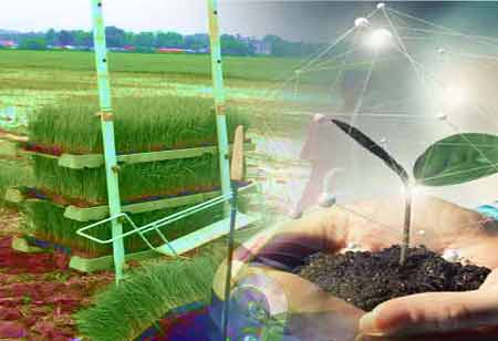 The Fight Against The Climate Change