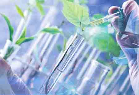 Innovations in Green Hydrogen Pioneering Sustainable Energy