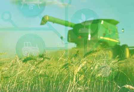 DECARBON 2025: Charting the Course for a Low-Carbon Future